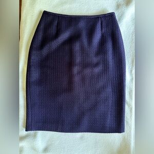 Elegant Purple Women's Skirt
